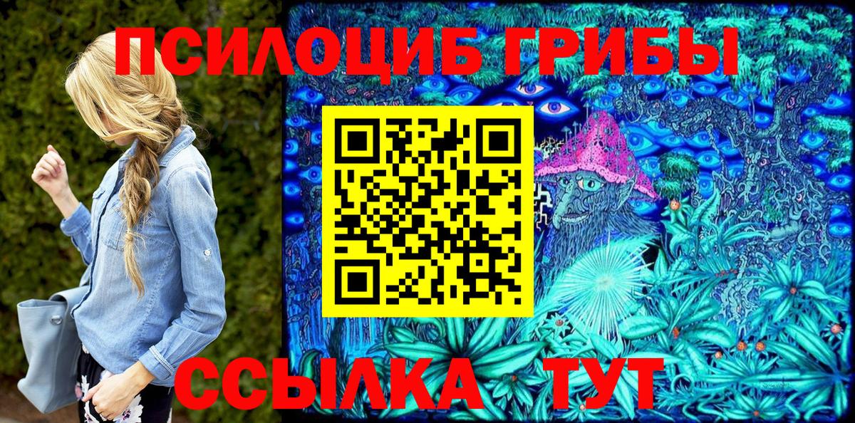 где можно купить наркотик  Галлюциногенные грибы Cubensis  Вход с VPN  Заводоуковск 