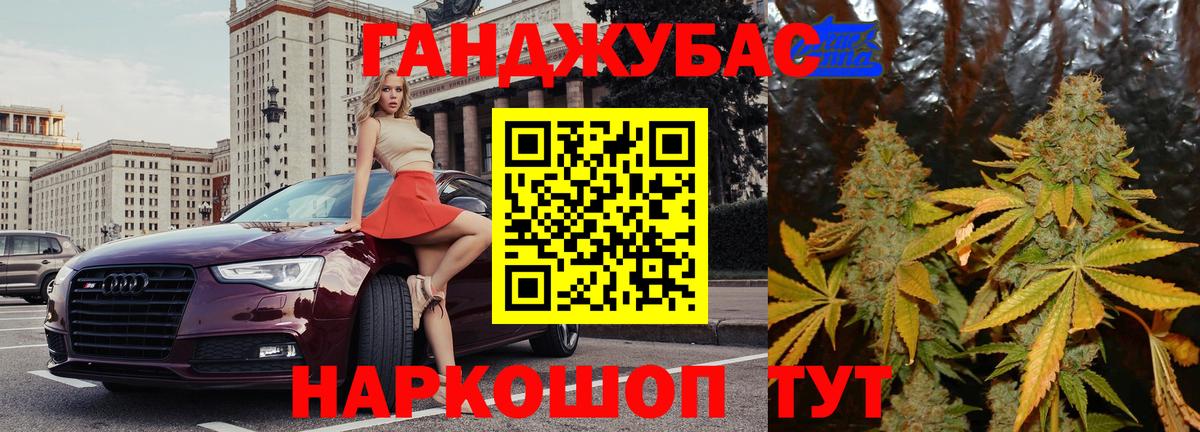 Бошки Шишки план Заводоуковск